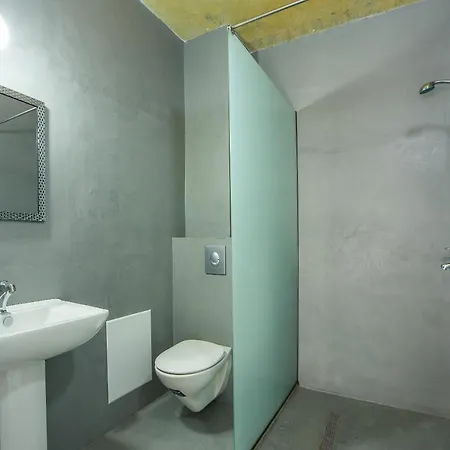 Lisabeth 팔리라키