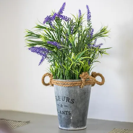 Lisabeth 3* Faliraki